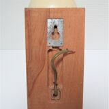 Ostrich egg wall lamp and vintage wood