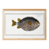 Poster about the pufferfish, based on an old engraving from 1746.