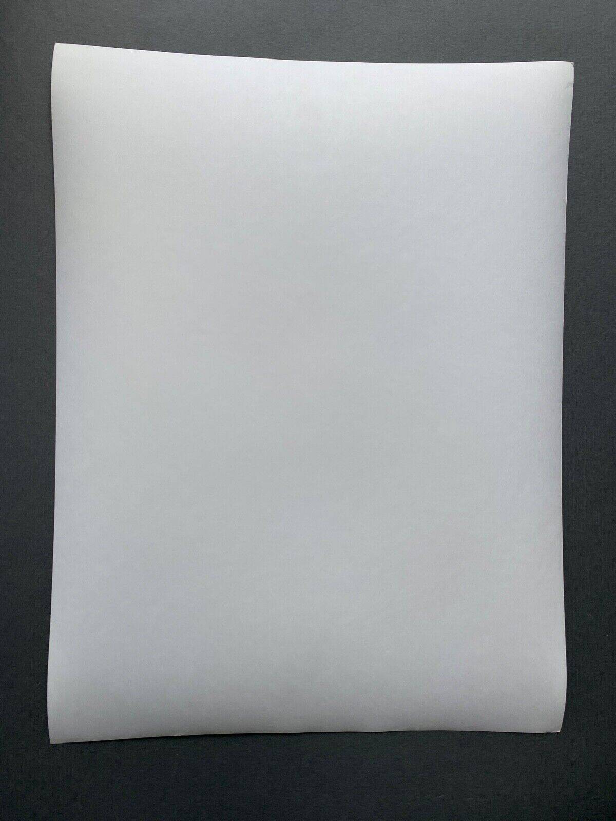 Bernard Darot silver gelatin photograph, 20th century, fir trees in the mountains