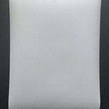 Bernard Darot silver gelatin photograph, 20th century, fir trees in the mountains