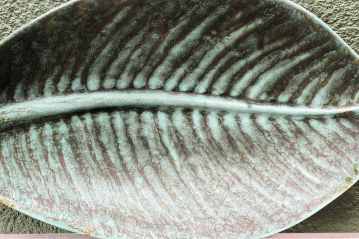 Enamelled stoneware plate