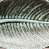 Enamelled stoneware plate