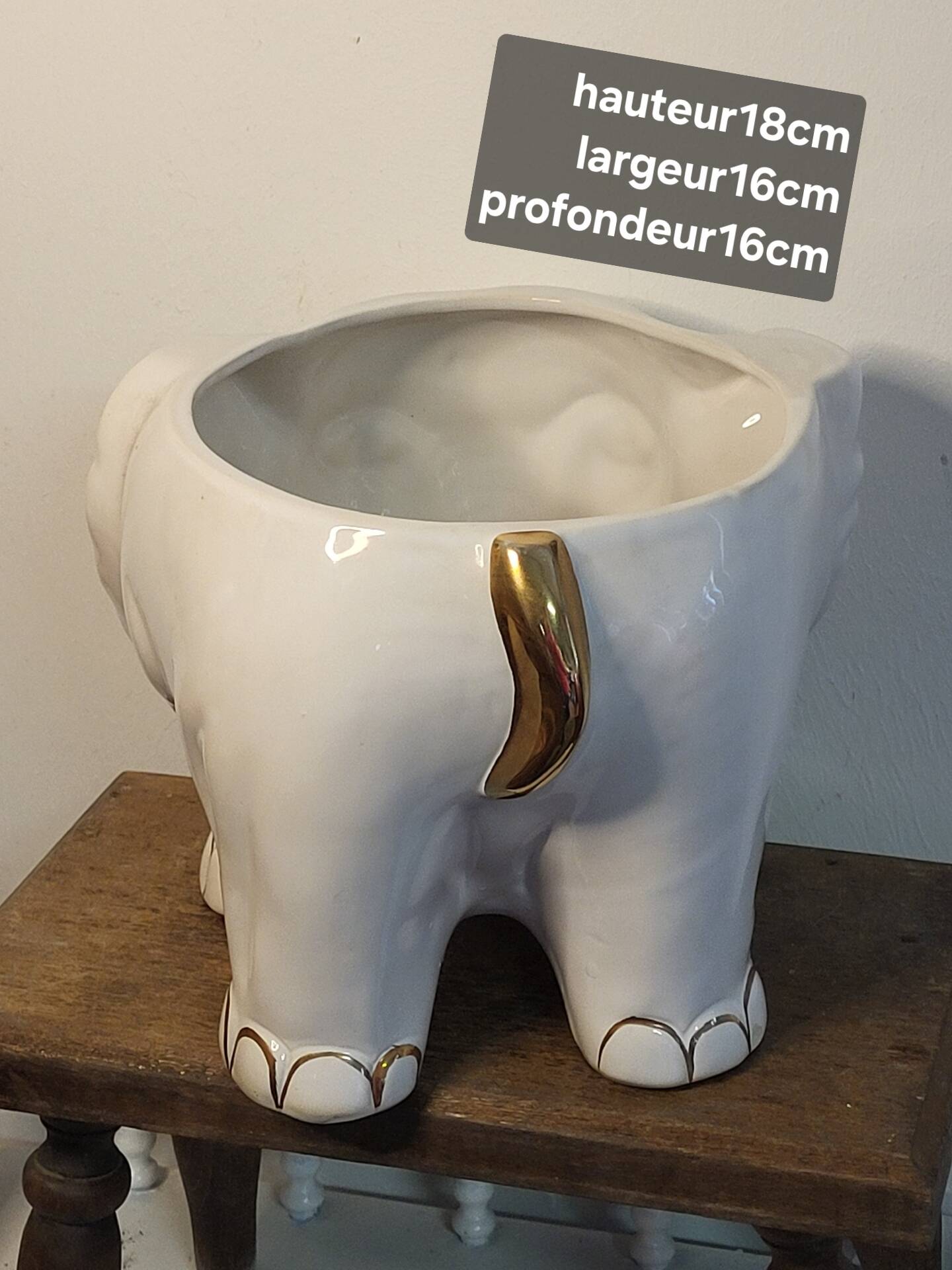 Elephant plant pot