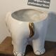 Elephant plant pot