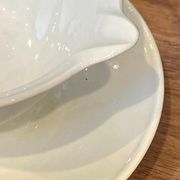 Saucière Petrus Regout Maastricht