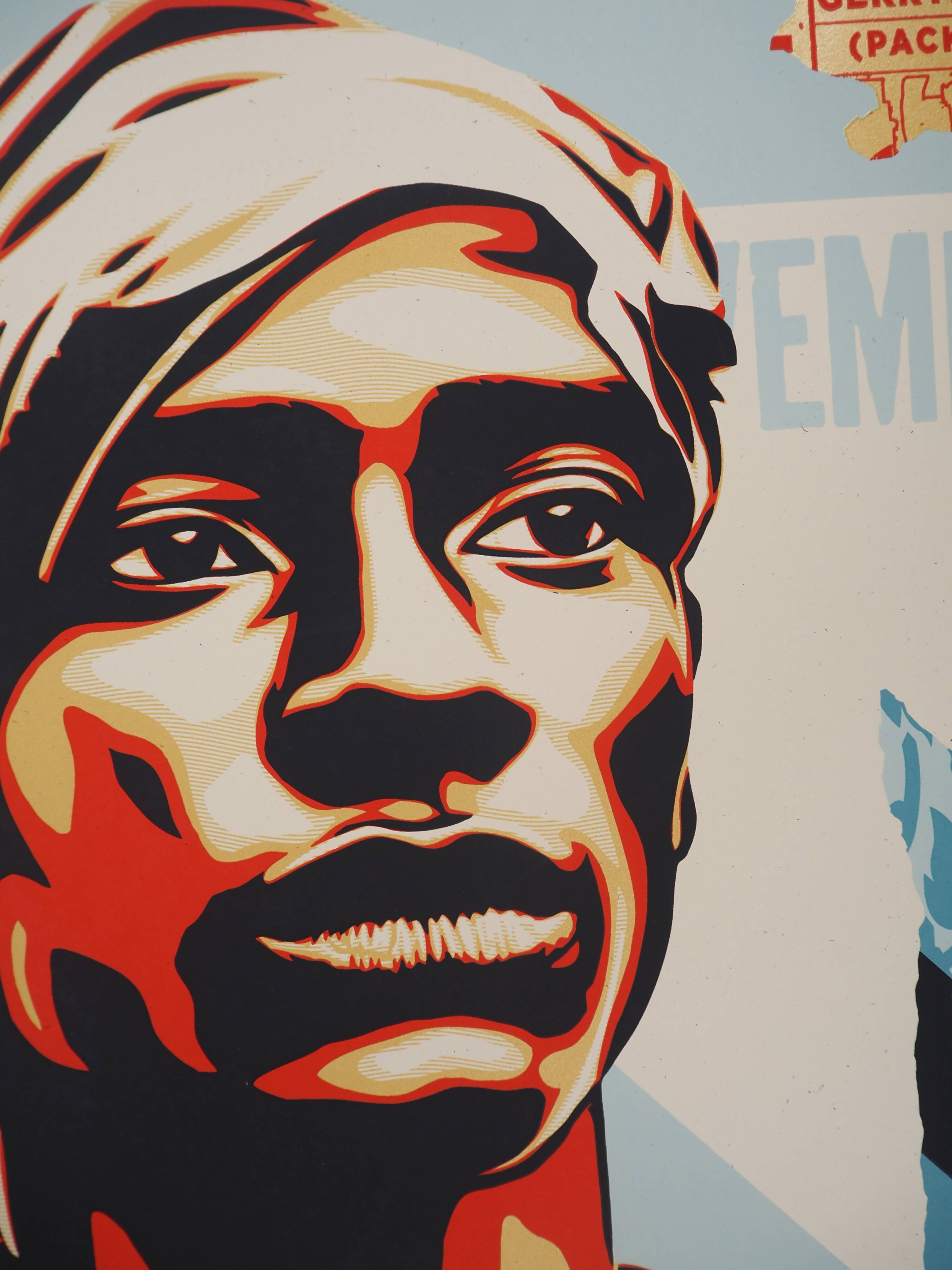 Shepard Fairey (Obey Giant): Voting Rights Are Human Rights - Signed lithograph
