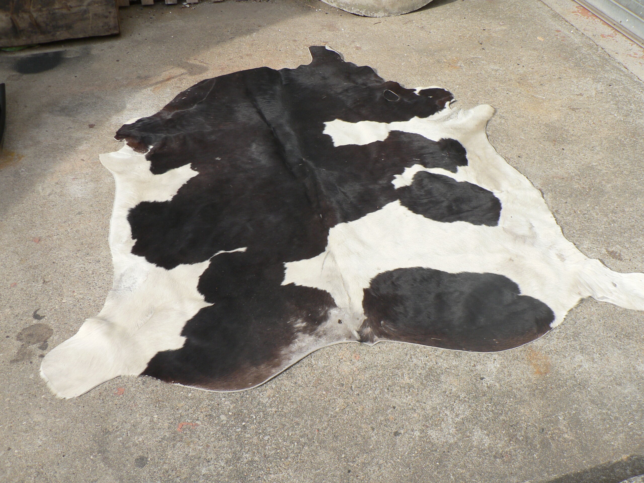 Rug cow skin, 215 x 195