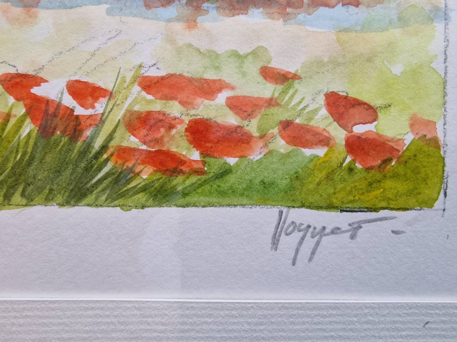 Watercolor Poppies jl Honnet