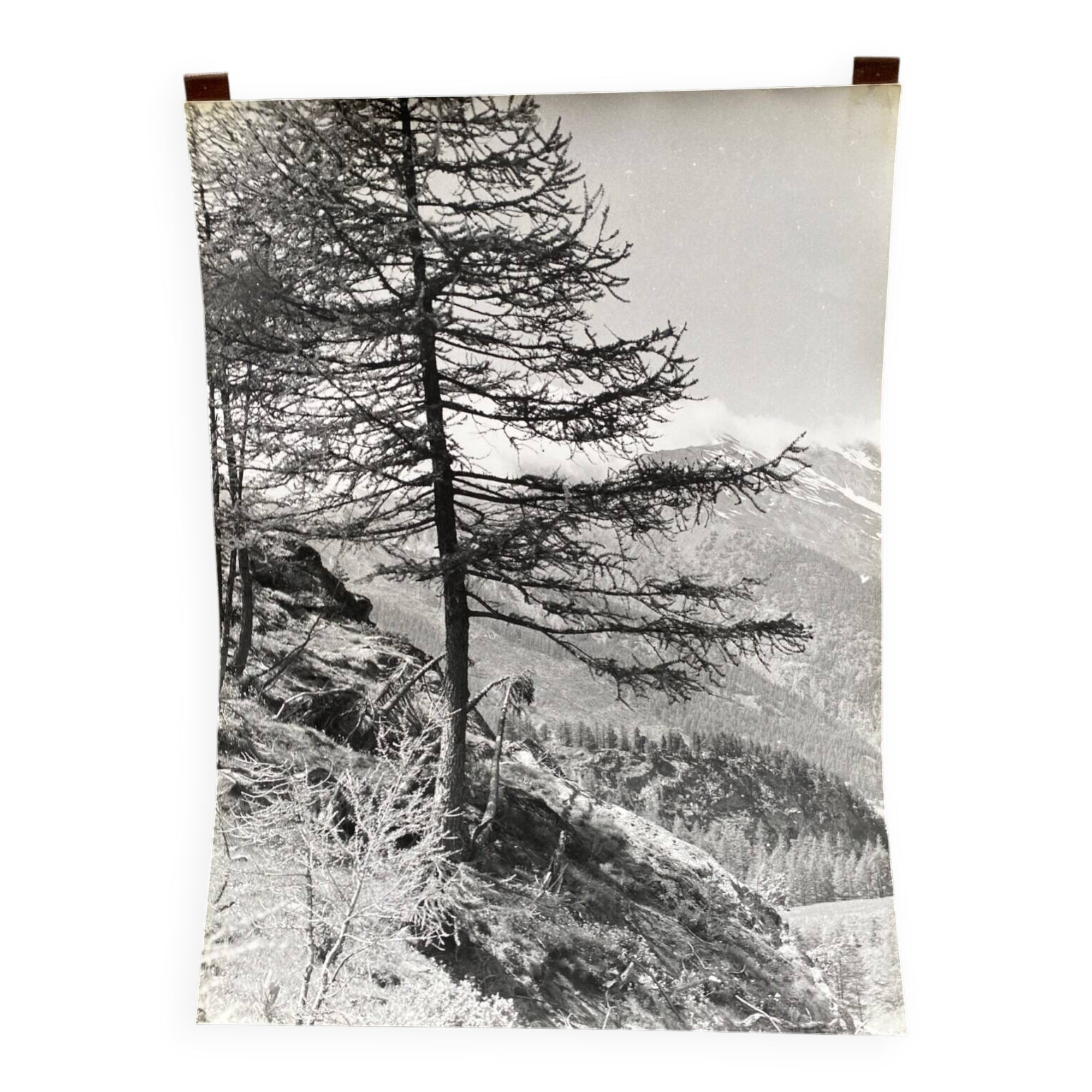 Bernard Darot silver gelatin photograph of a 20th-century mountain landscape
