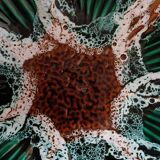 Coupe à fruits ancien Vallauris 