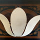 Applique métal lotus vintage