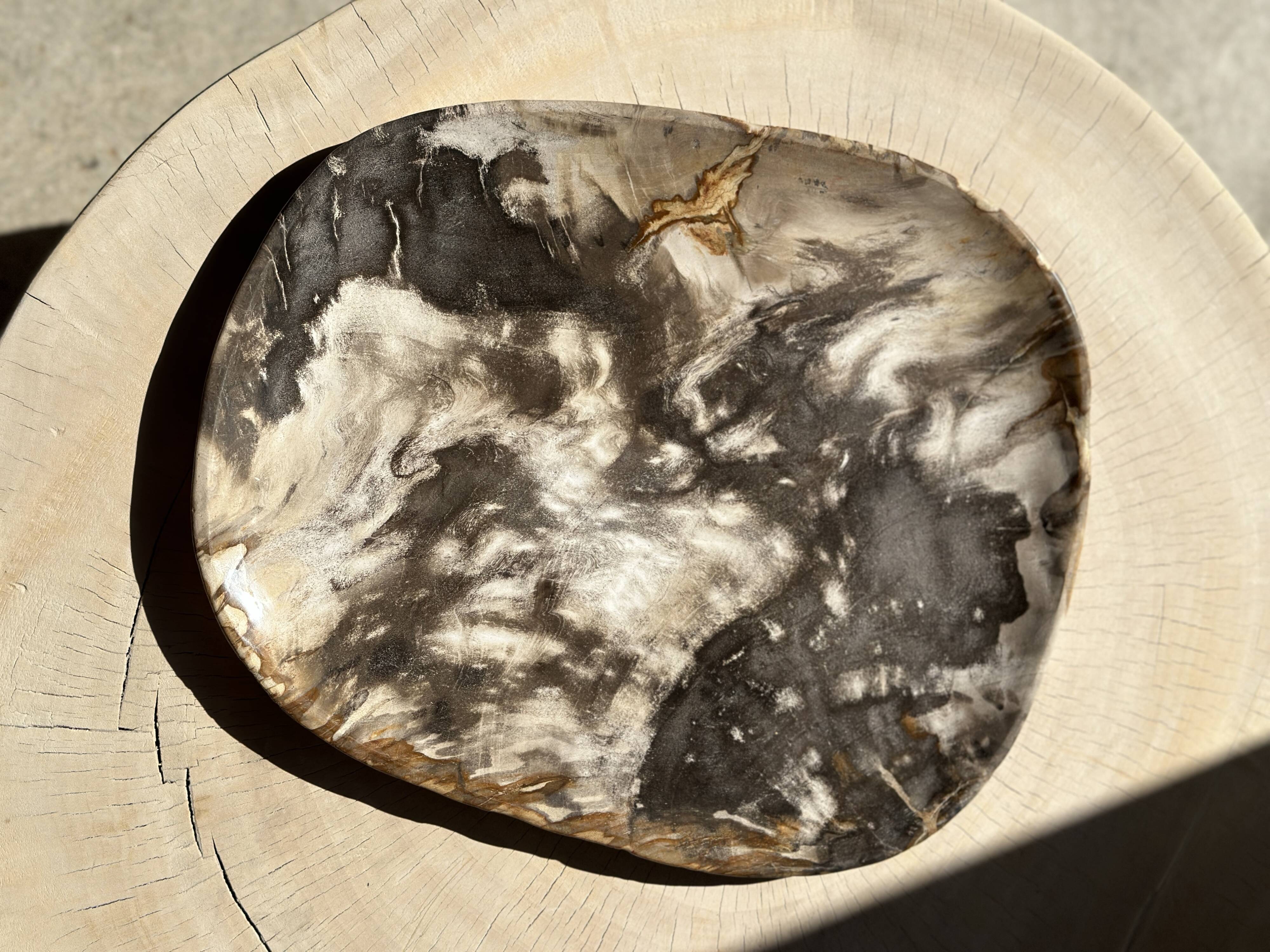 Very large pocket or dish in petrified wood