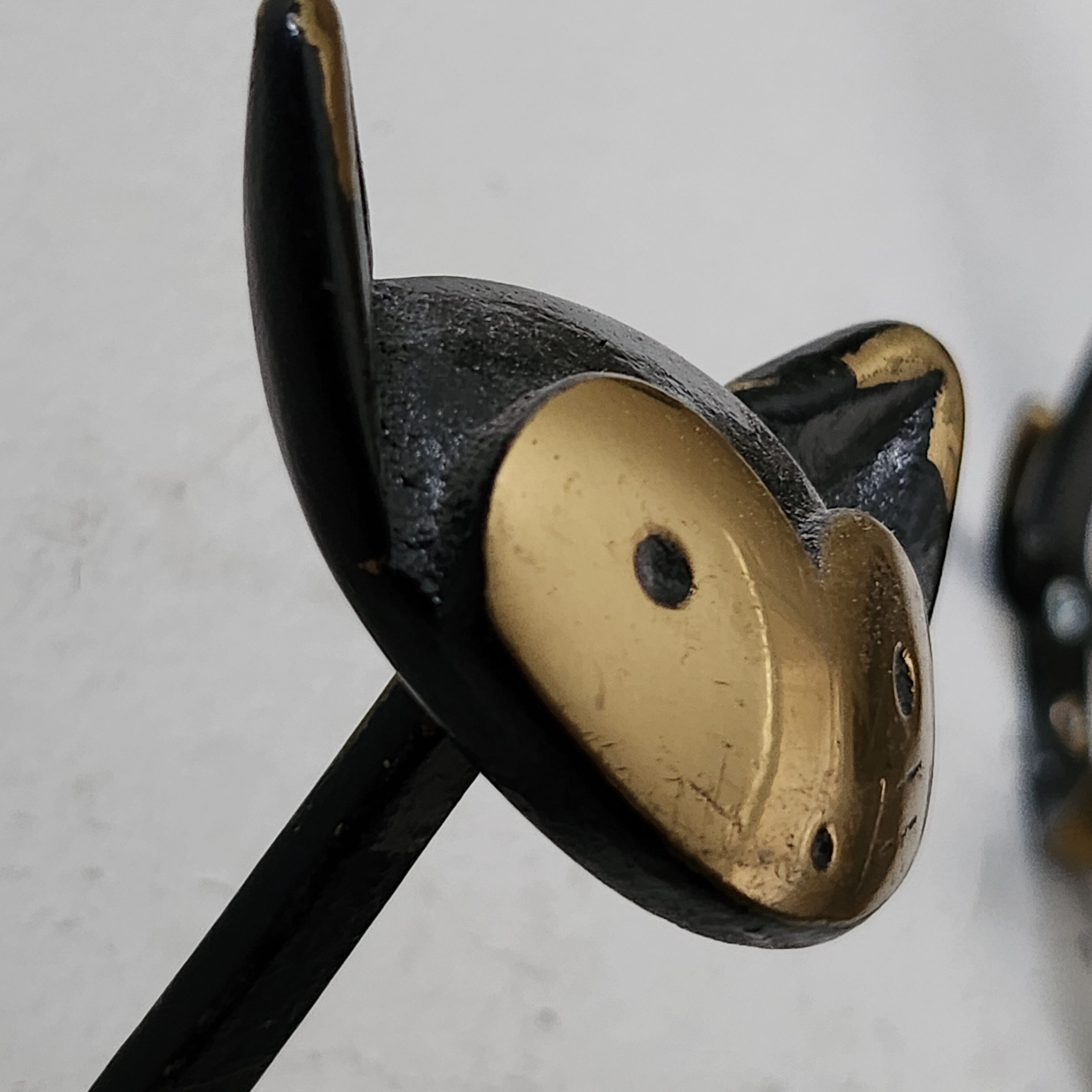 Cat wearing coat by Baller - Austria