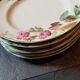 Flat plates
