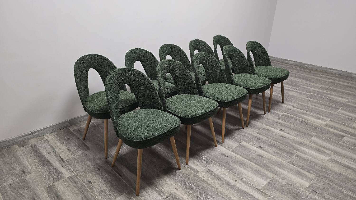 Dining Chairs by Antonin Suman, 1960s, Set of 10