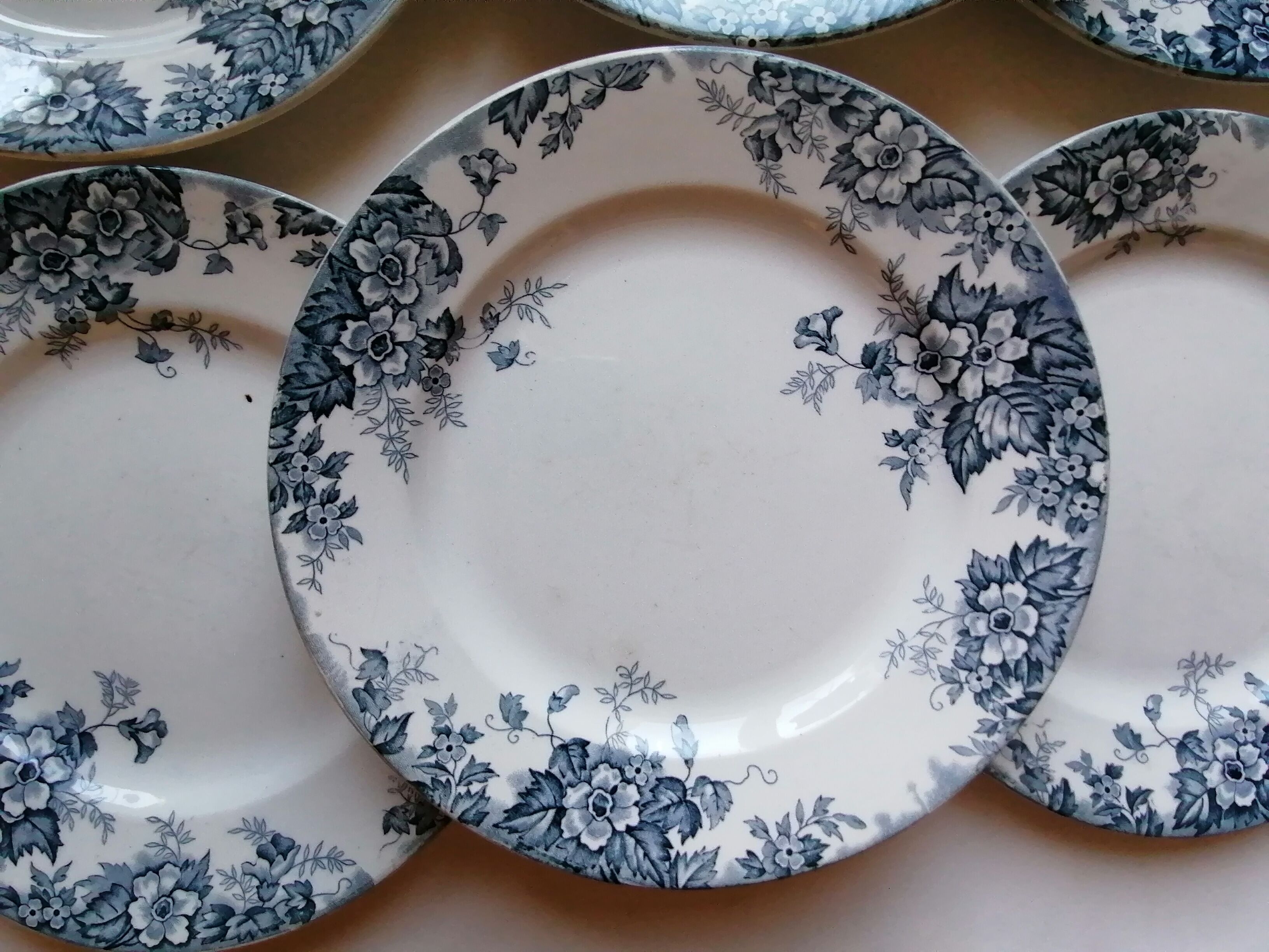 6 flat plates wolf mill blue and white iron earth