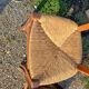 6 old straw chairs