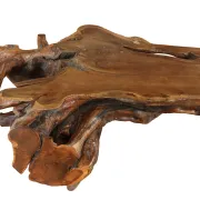Large sculptural root wood coffee table – circa 1970