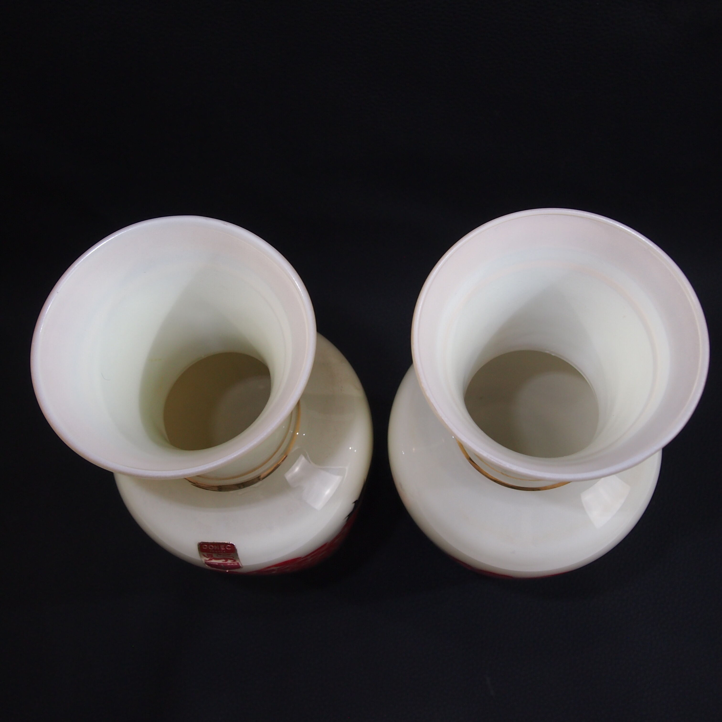 Pair of vases opaline Domec