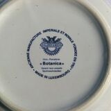 Small Batch of dishes and saucer Villeroy & Boch model Botanica