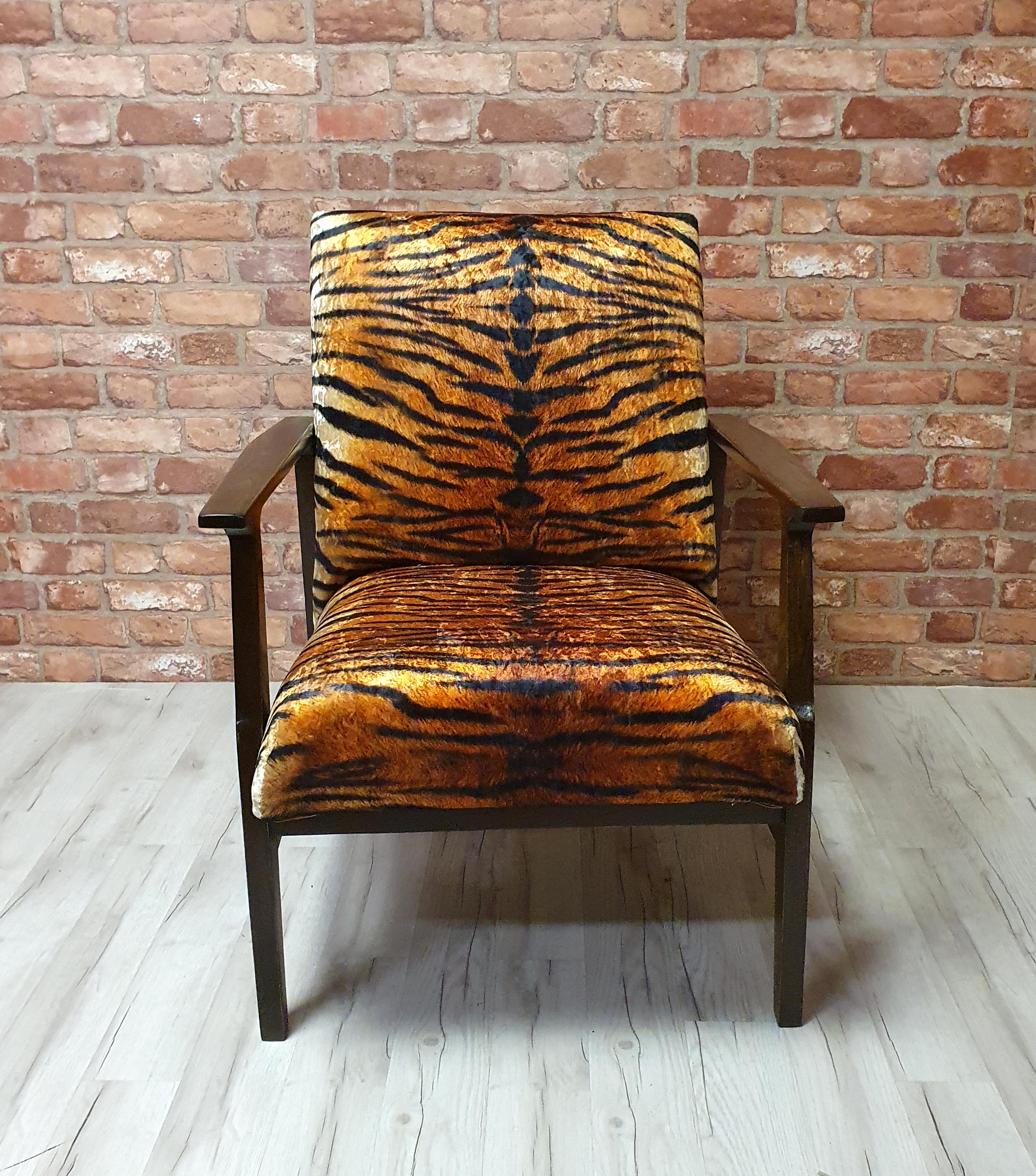Renovated armchair BW-14, Tiger, Poland 1960s