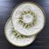 Pair of St Amand oyster plates