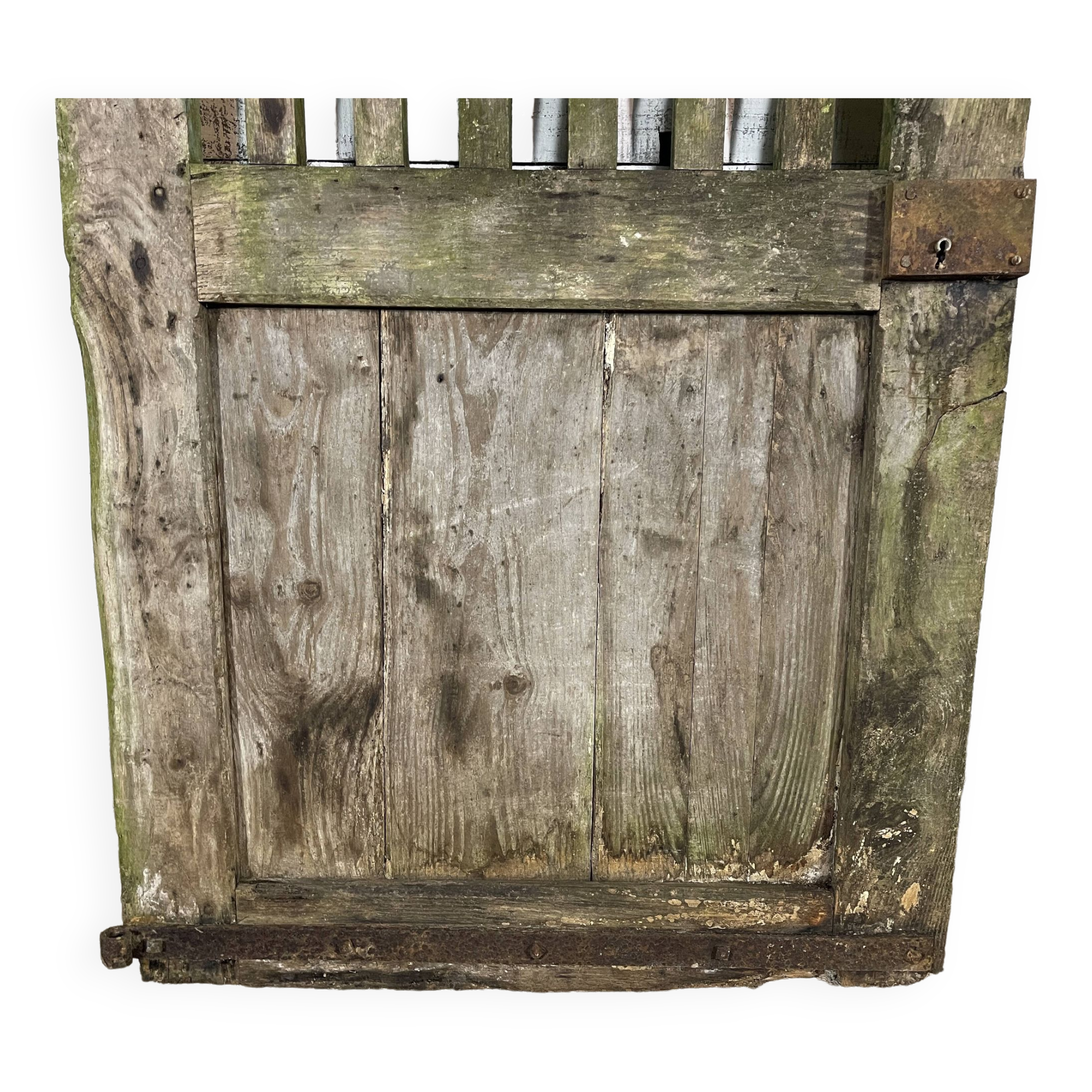 Barn door 164 x 95