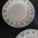 Flat plates in Digoin & Sarreguemines ironstone earthenware