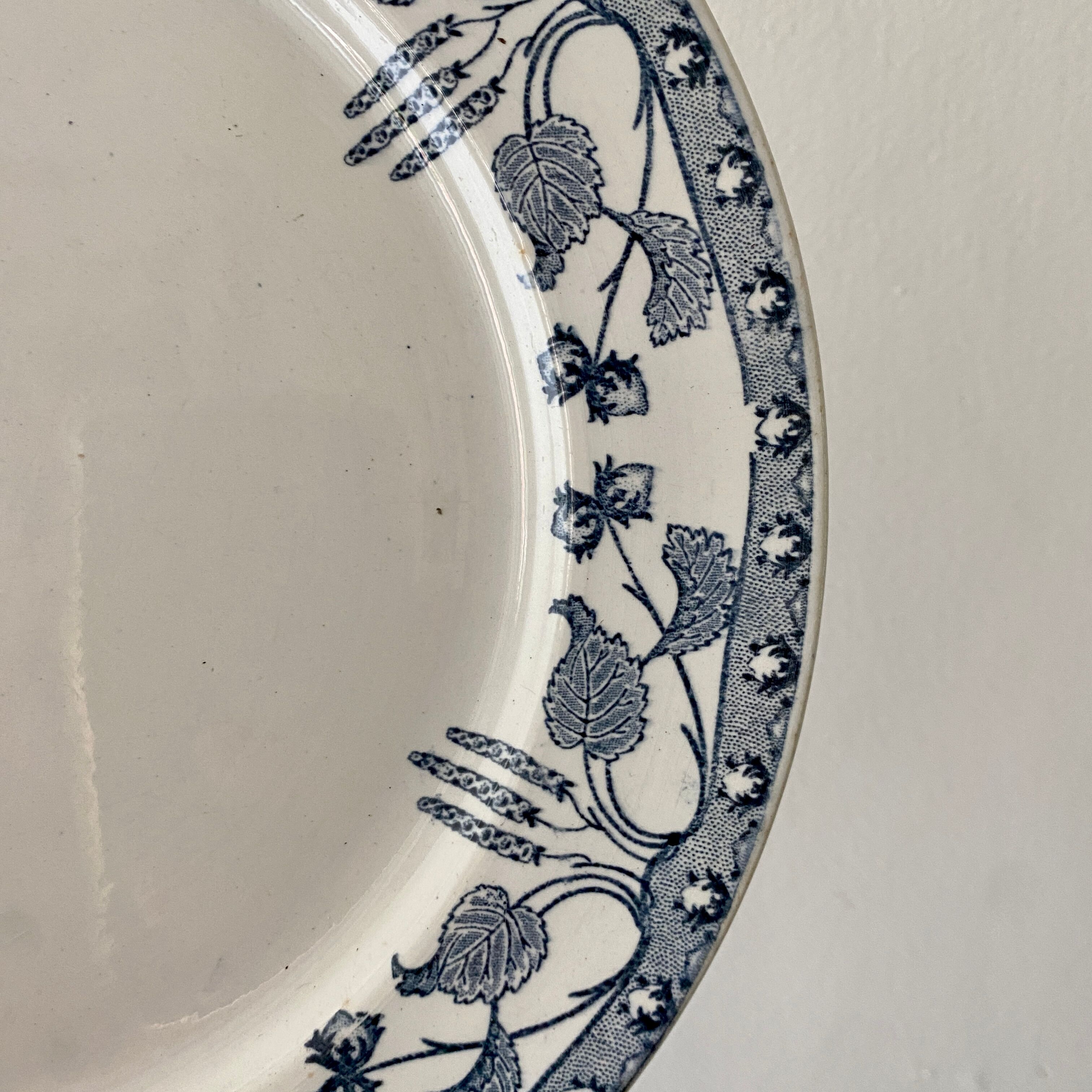 Set of 10 old flat plates in iron earth, model Noisette de Sarreguemines