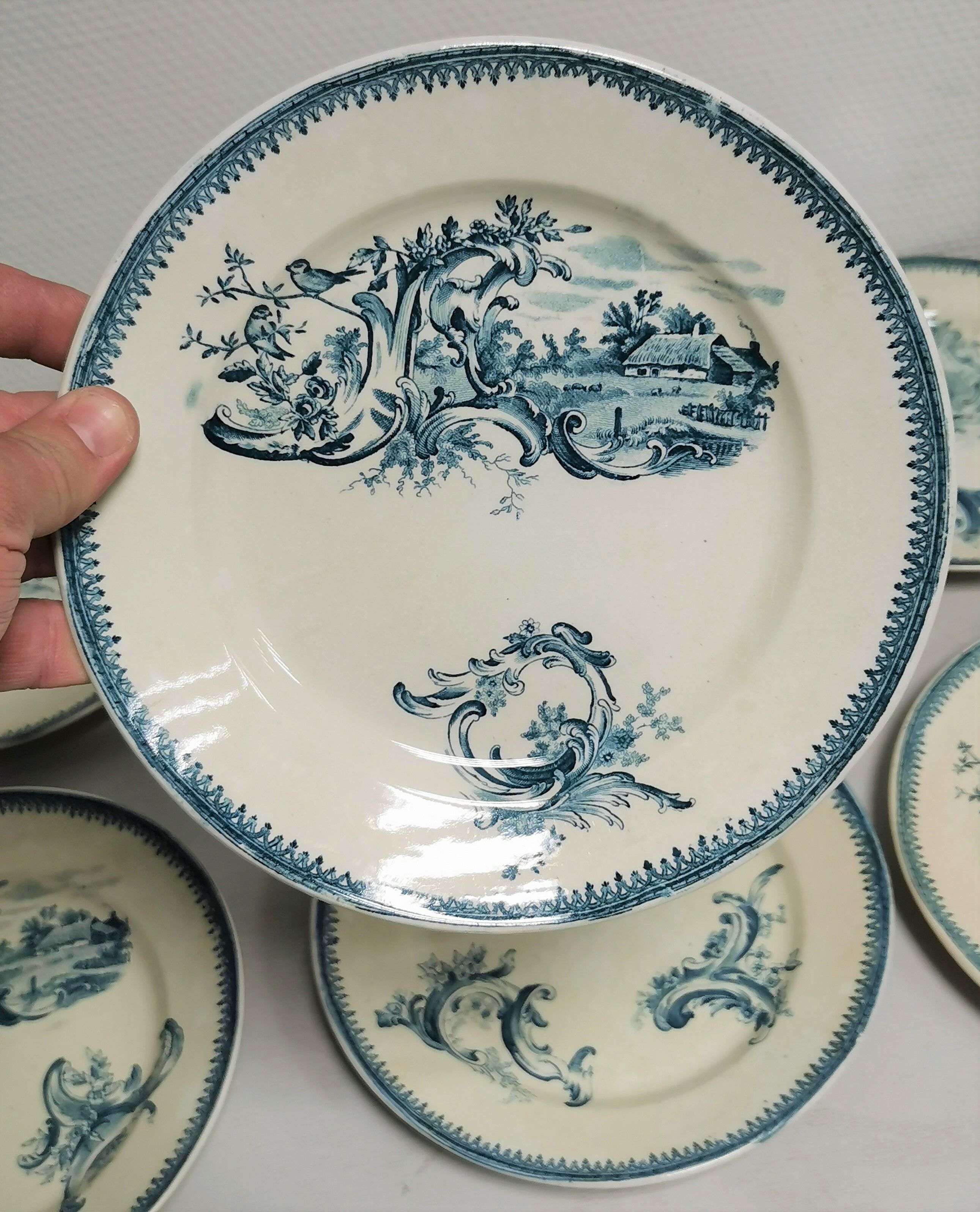 Table service 12 old plates Terre de Fer Rocaille , Faience Pexonne