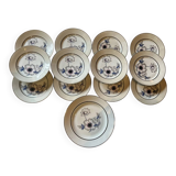 Set of 12 antique porcelain plates with anemone pattern + matching large plate 29.5 cm