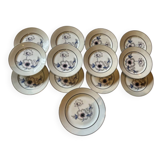 Set of 12 antique porcelain plates with anemone pattern + matching large plate 29.5 cm