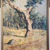 Oil on canvas, Olive tree trunk signed 20th Brvao (JG)