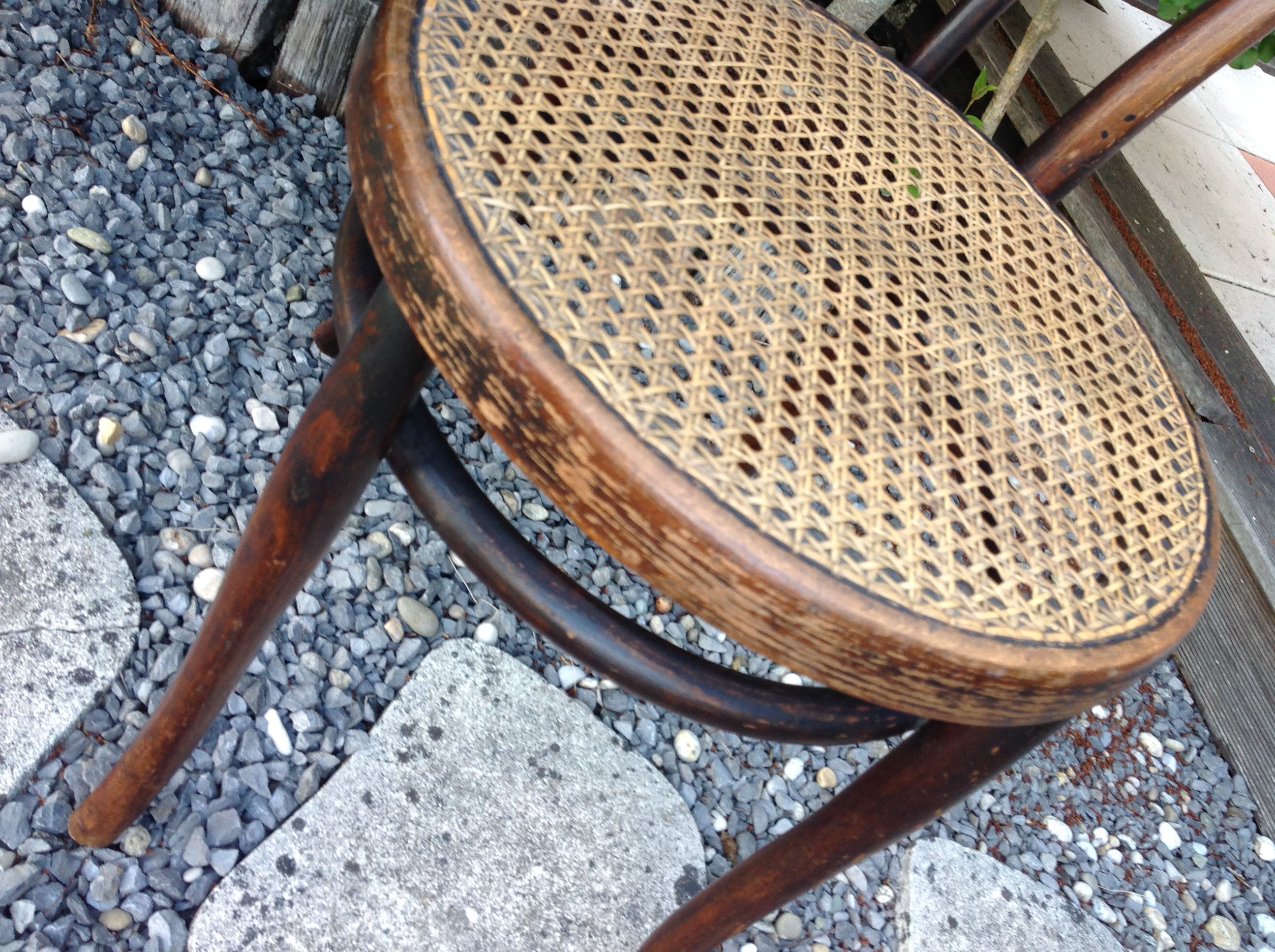 Bistro chair in curved wood and cannage / vintage years 30-40