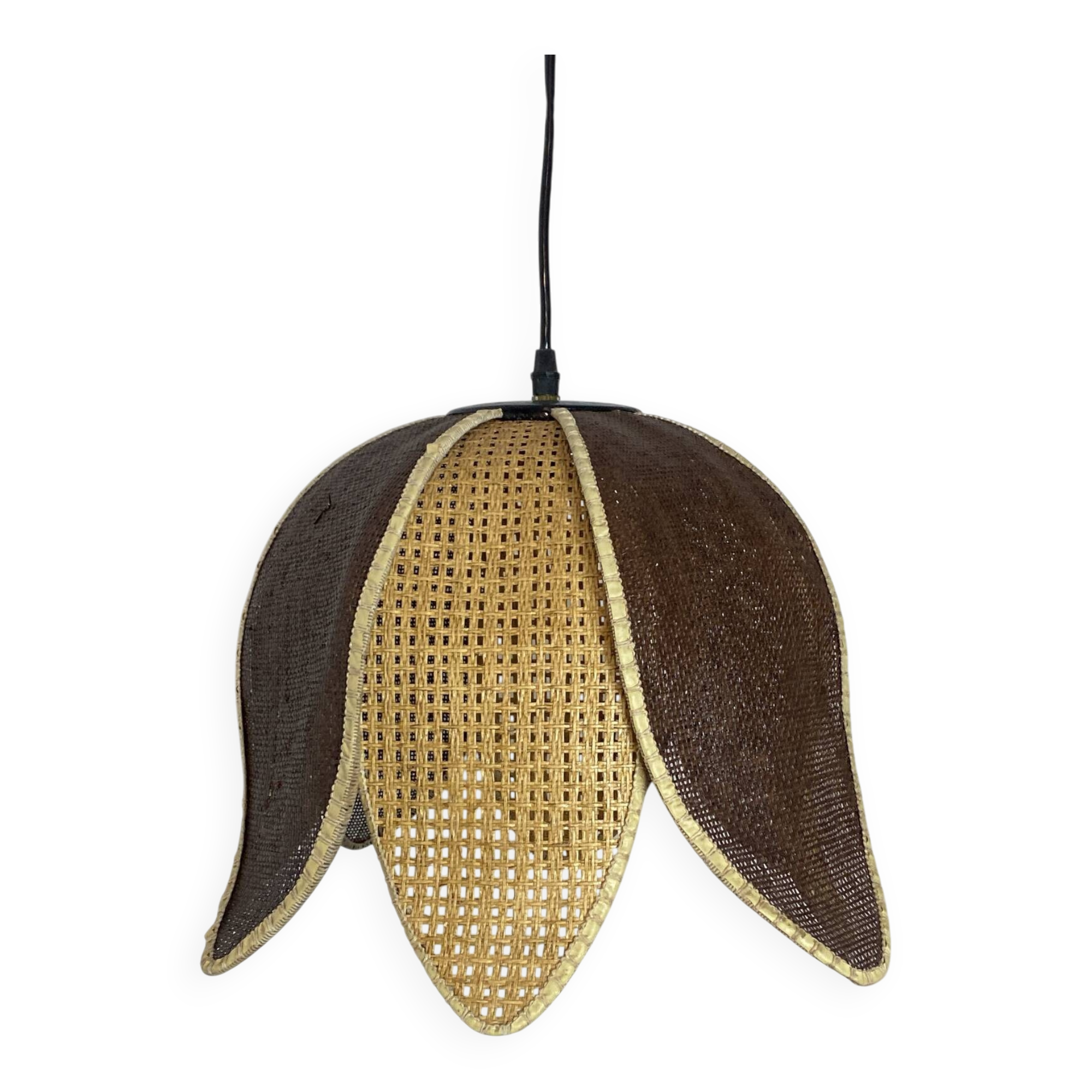 Organic rattan suspension