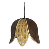 Organic rattan suspension