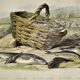 Original zoological plate of 1839 " the trout, the epinoche,....,....,....