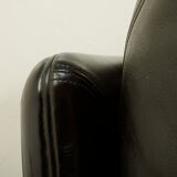 Poppy 2-seater leather sofa by Tito Agnoli for Poltrona Frau, 1970s