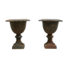 Pair of ancient cast iron Medici vases