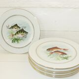 Lot 6 assiettes à poisson anciennes, porcelaine Sofafils