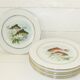 Lot 6 old fish plates, Sofafils porcelain