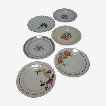 Assortiment de 6 assiettes plates anciennes