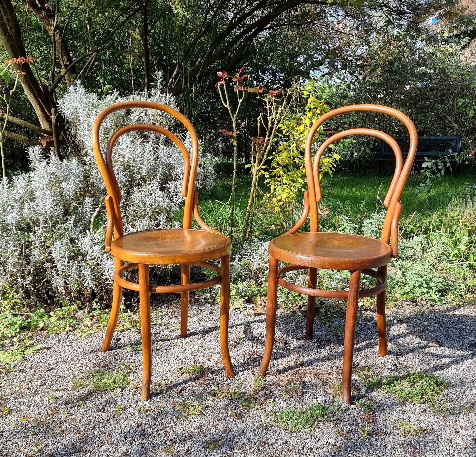 Pair of bistro chairs n°14 by Fischel austria bers 1915