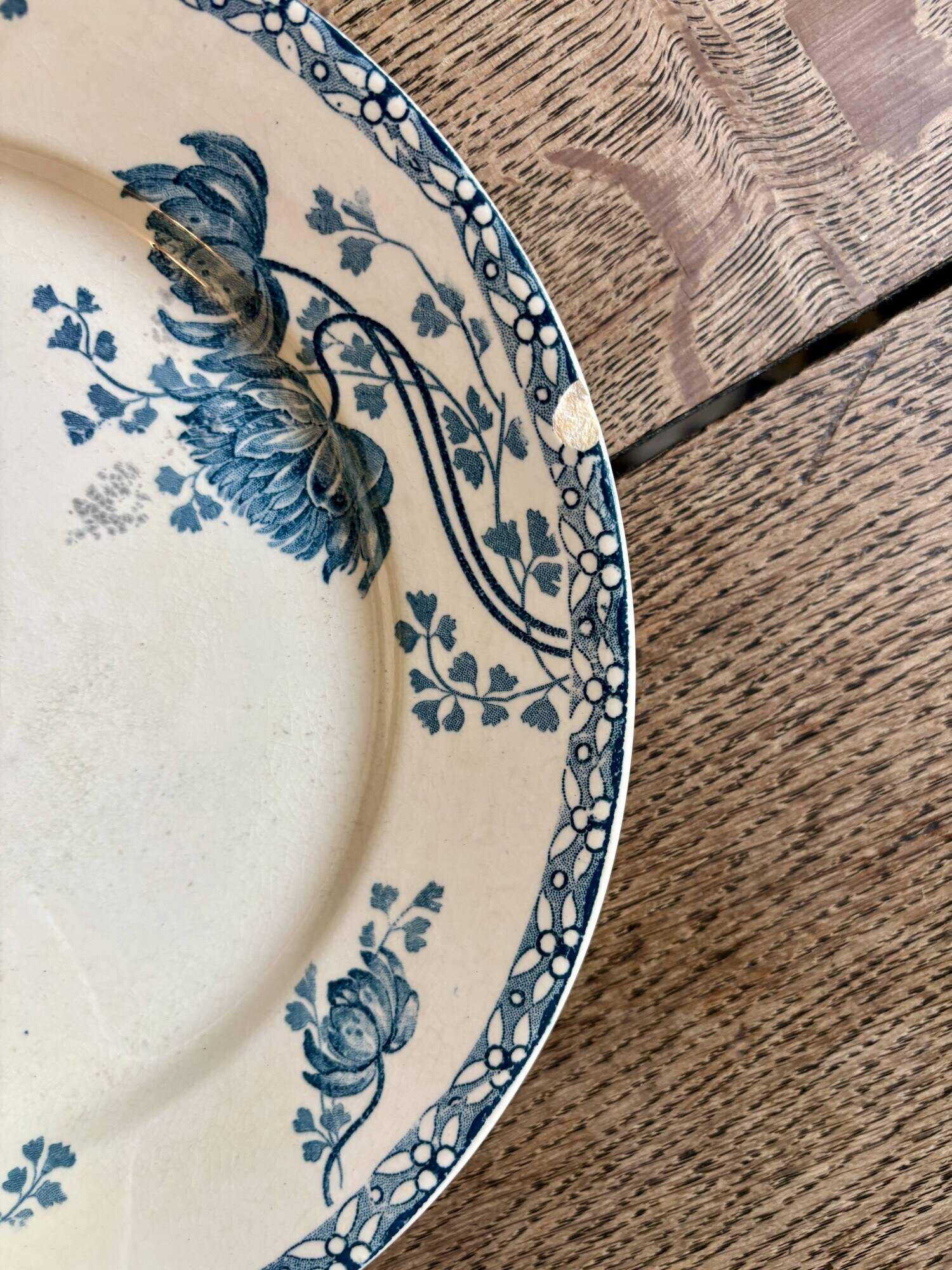 Set of 10 antique flat plates in ironstone, Royat from Sarreguemines.