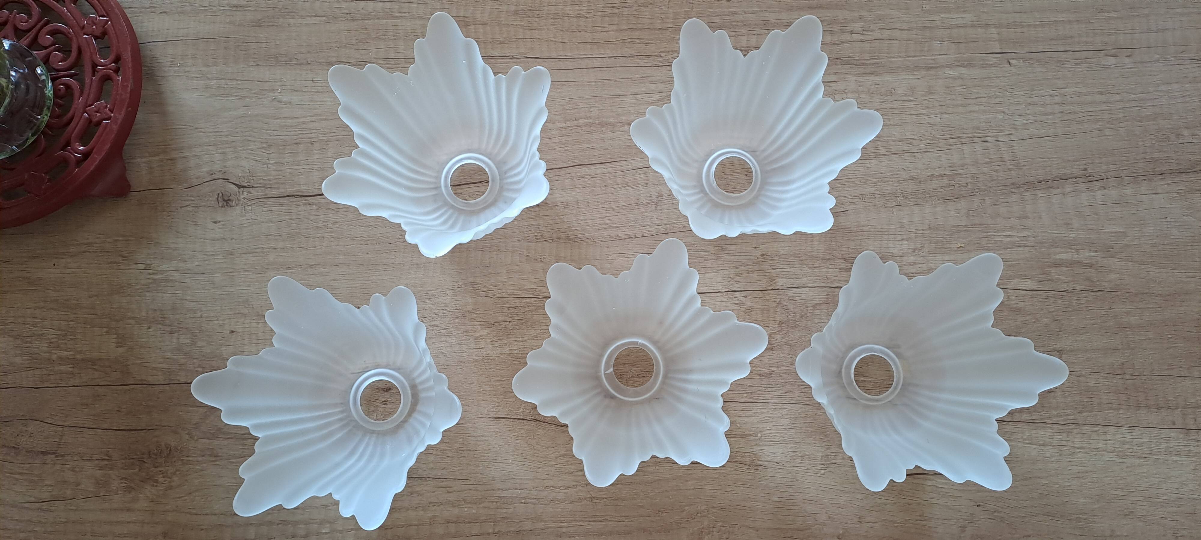 Old sandblasted glass tulips