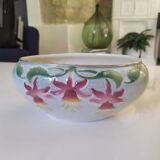 Planter Lunéville - Saint Clément