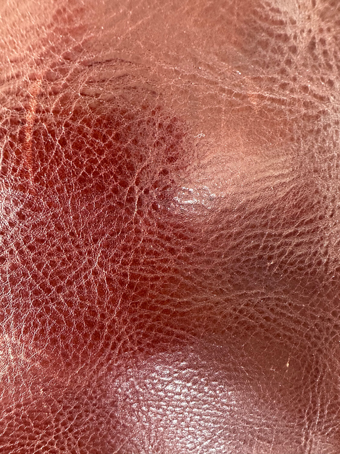 Pair of leather armchairs Roche Bobois