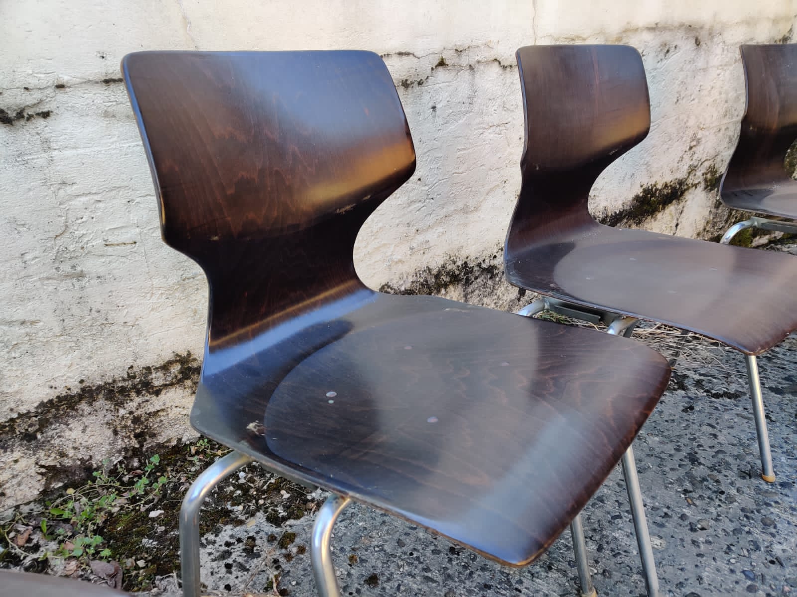 8 vintage chairs by Flötotto Pagwood