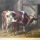 English colored engraving