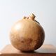 Vase calebasse en bois avec corde, années 50